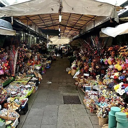 National Theatre Trendy *